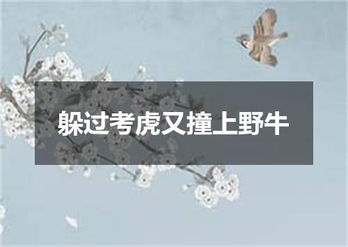 躲过考虎又撞上野牛