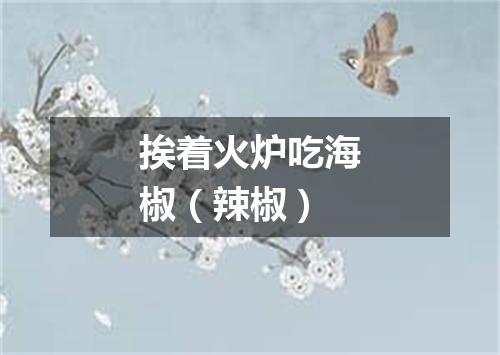 挨着火炉吃海椒（辣椒）