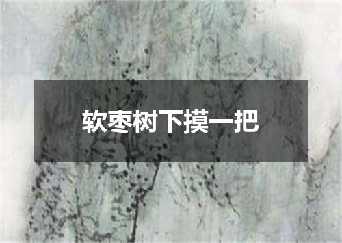 软枣树下摸一把