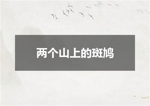 两个山上的斑鸠
