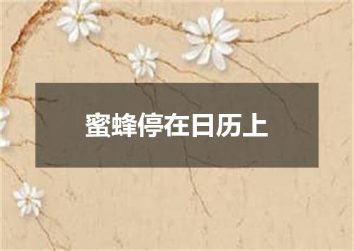 蜜蜂停在日历上