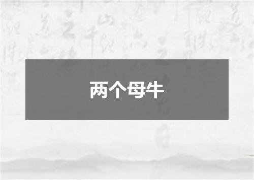 两个母牛