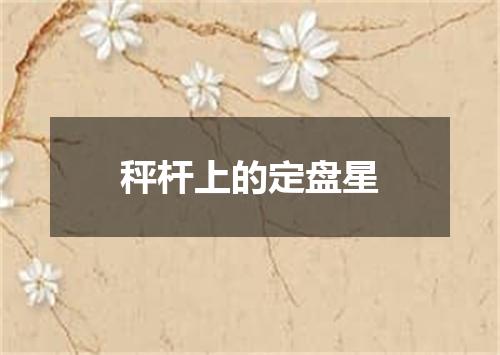 秤杆上的定盘星