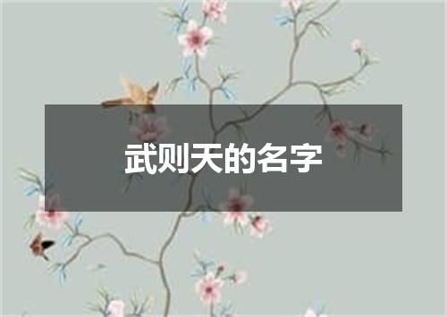 武则天的名字