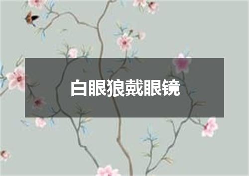 白眼狼戴眼镜