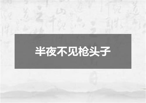 半夜不见枪头子