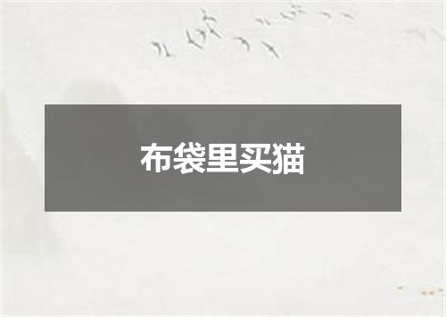 布袋里买猫