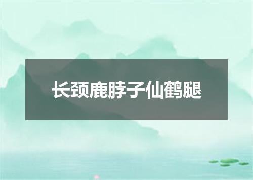 长颈鹿脖子仙鹤腿