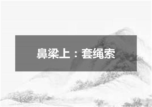 鼻梁上：套绳索