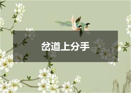 岔道上分手
