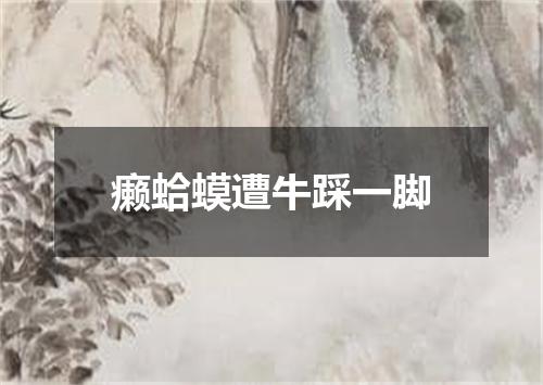 癞蛤蟆遭牛踩一脚