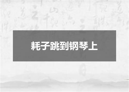 耗子跳到钢琴上
