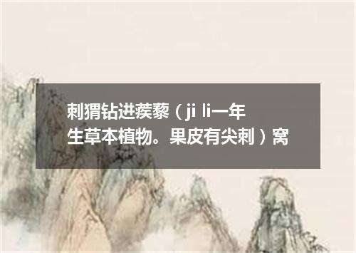 刺猬钻进蒺藜（ji li一年生草本植物。果皮有尖刺）窝