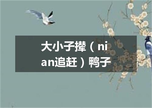 大小子撵（nian追赶）鸭子