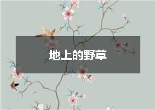 地上的野草