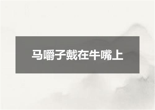 马嚼子戴在牛嘴上