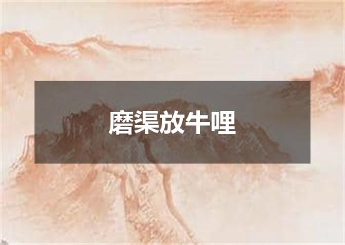 磨渠放牛哩