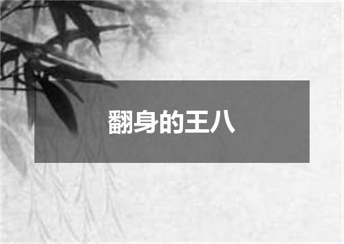 翻身的王八
