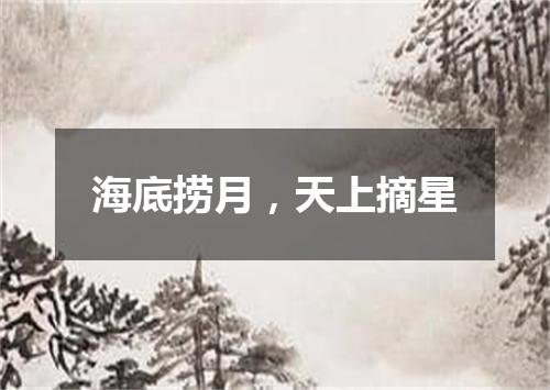 海底捞月，天上摘星