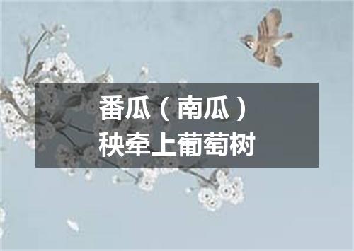 番瓜（南瓜）秧牵上葡萄树