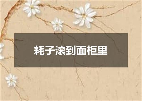 耗子滚到面柜里