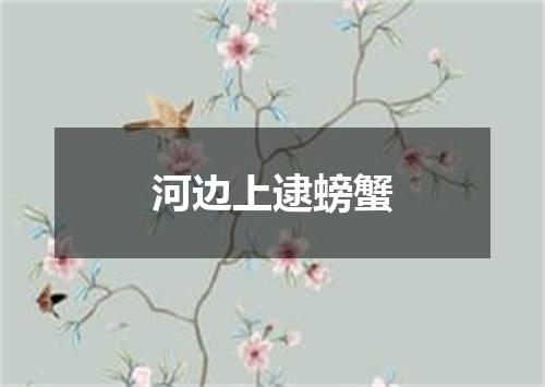 河边上逮螃蟹