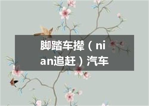 脚踏车撵（nian追赶）汽车