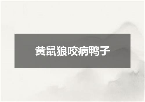 黄鼠狼咬病鸭子