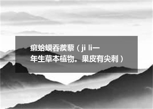 癞蛤蟆吞蒺藜（ji li一年生草本植物。果皮有尖刺）