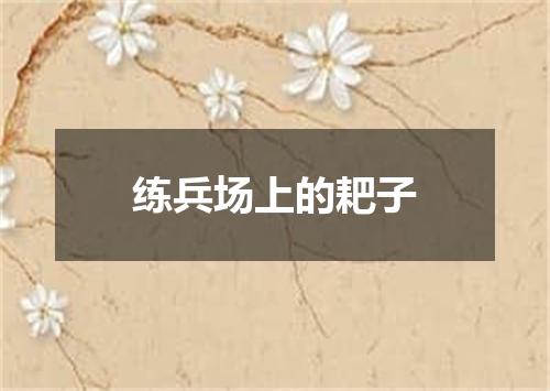 练兵场上的耙子