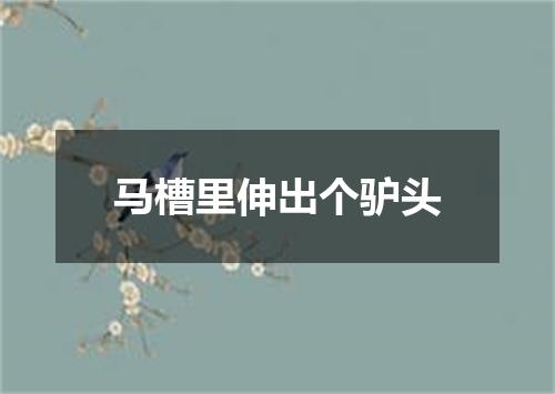 马槽里伸出个驴头