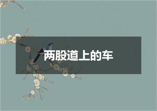 两股道上的车