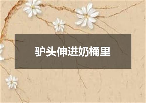 驴头伸进奶桶里