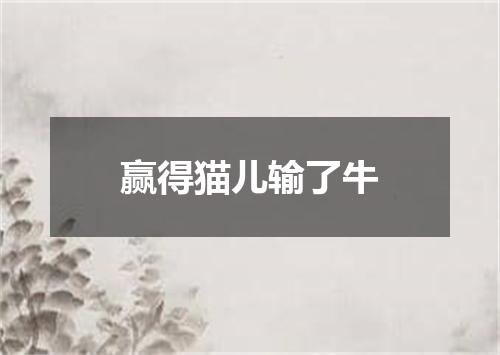 赢得猫儿输了牛