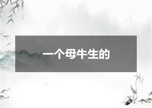 一个母牛生的