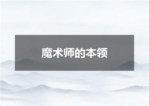 魔术师的本领