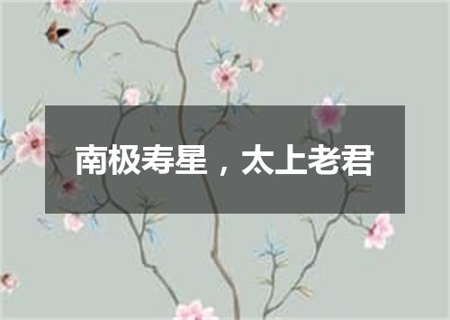南极寿星，太上老君
