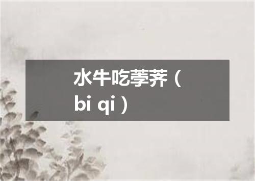 水牛吃荸荠（bi qi）