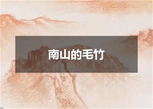 南山的毛竹