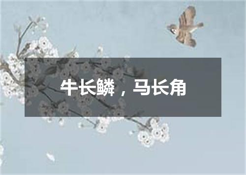 牛长鳞，马长角