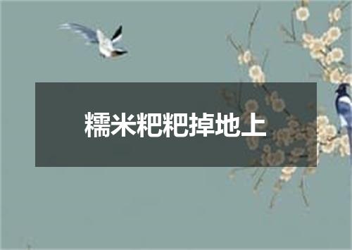 糯米粑粑掉地上