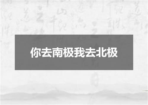 你去南极我去北极