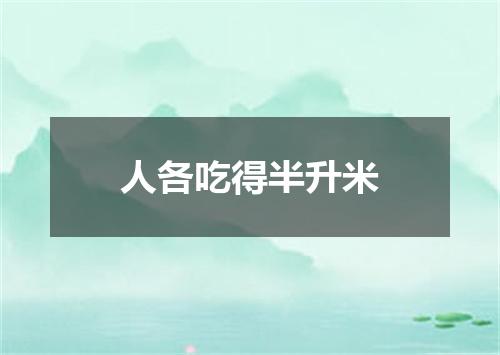 人各吃得半升米