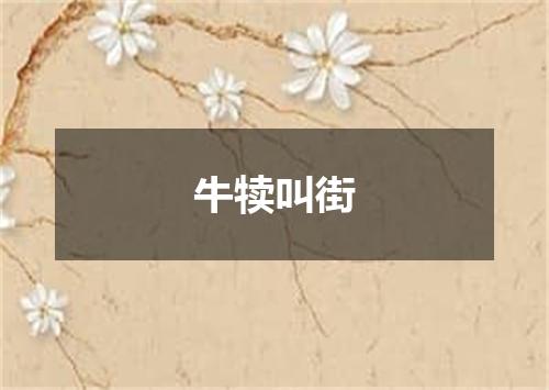 牛犊叫街