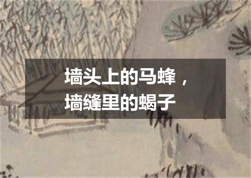 墙头上的马蜂，墙缝里的蝎子