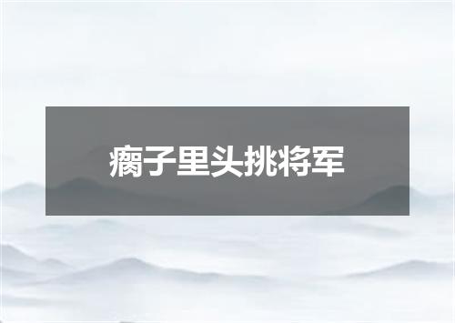 瘸子里头挑将军