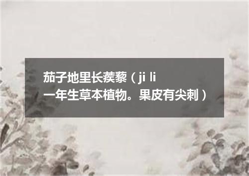 茄子地里长蒺藜（ji li 一年生草本植物。果皮有尖刺）