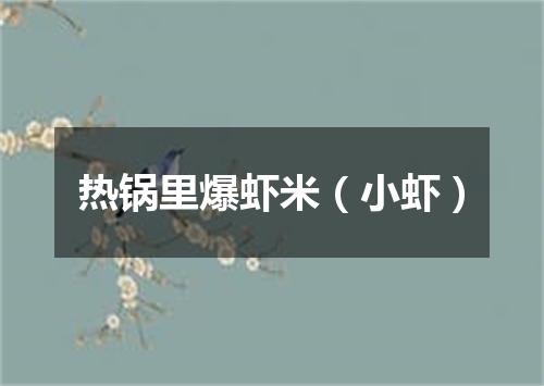 热锅里爆虾米（小虾）