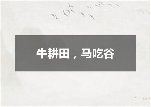 牛耕田，马吃谷