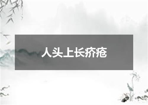 人头上长疥疮